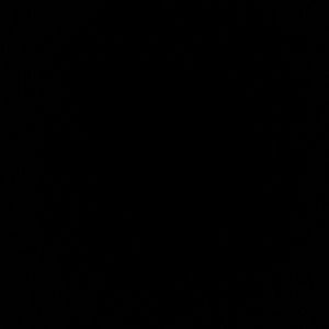 Meet your Posher, Katt